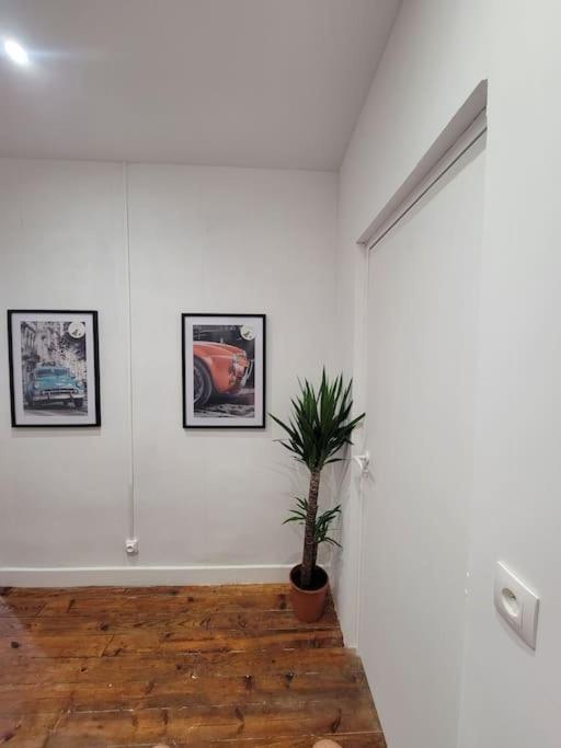 Appartement De Charme Avec Tomettes Et Parquet Graulhet Exteriör bild